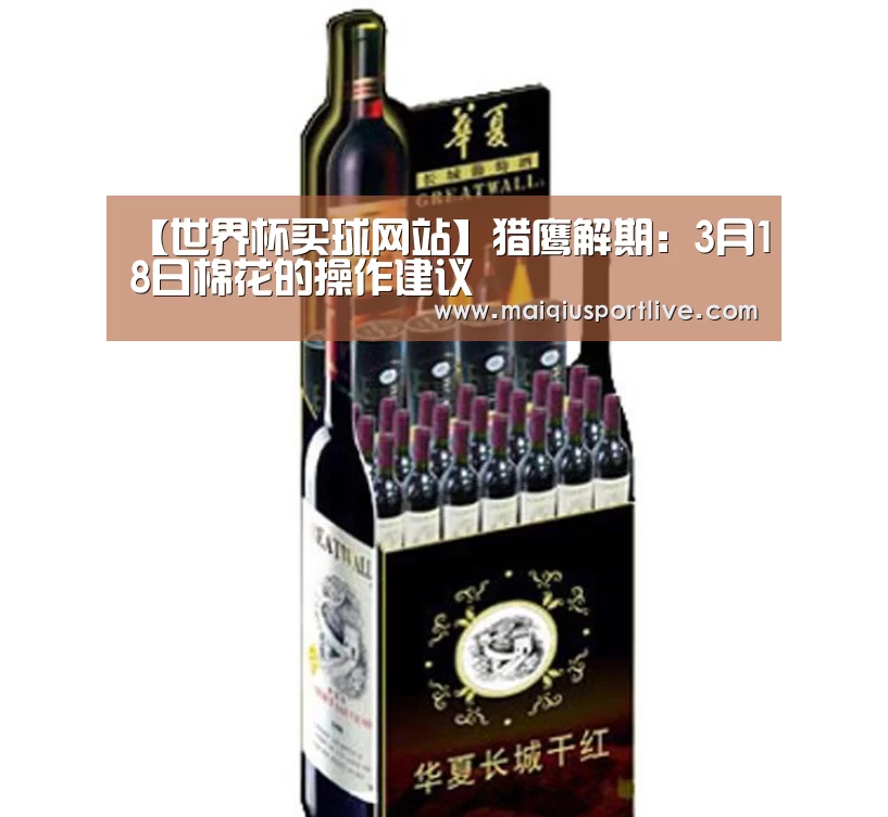世界杯买球