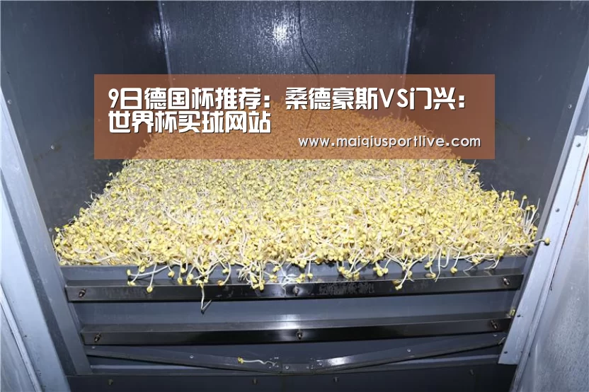 世界杯买球网站
