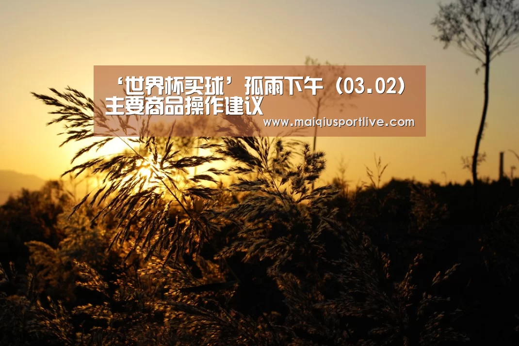 世界杯买球平台