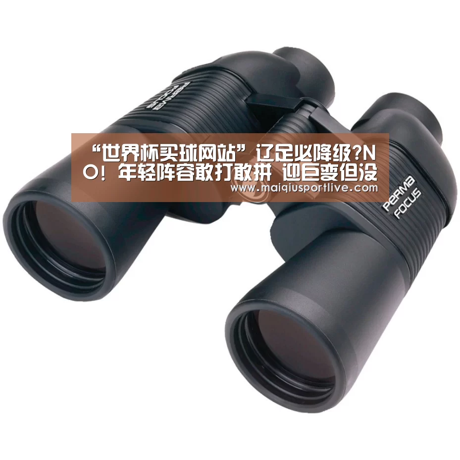 世界杯买球平台